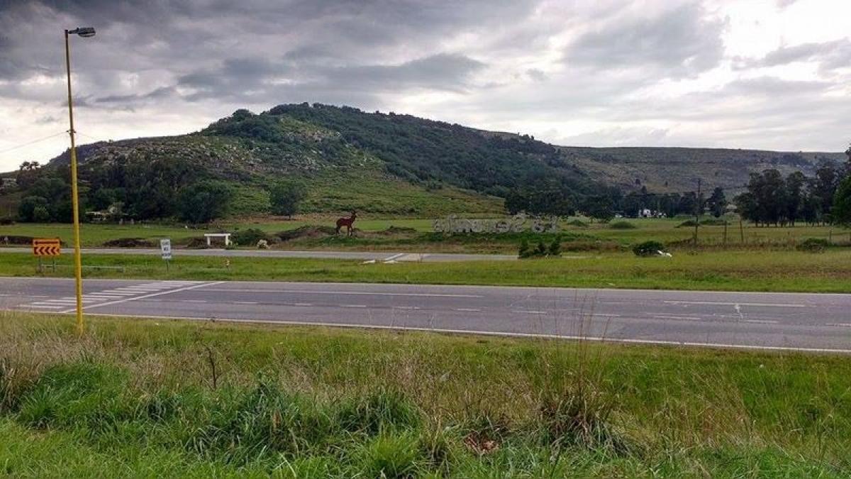 3 bedrooms House in Mar del Plata, Argentina No. 80569