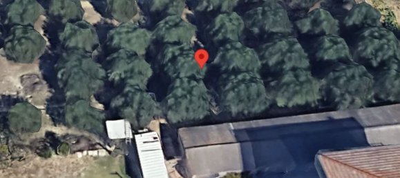 3 rooms Apartment in Porto Sant'Elpidio, Italy No. 93942 5