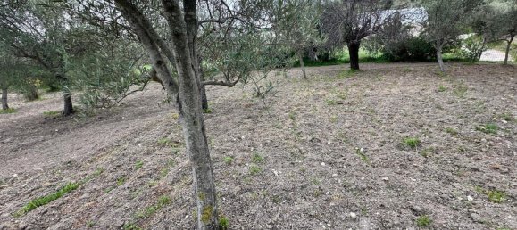 16000m² Land in Avola, Italy No. 168959 7