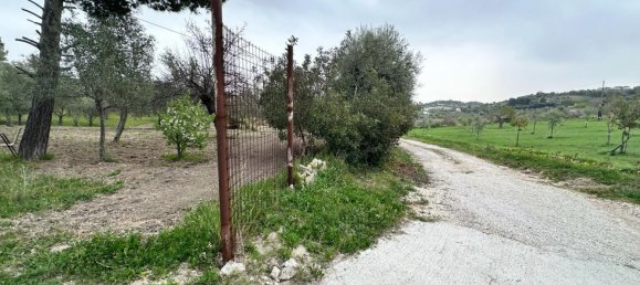 16000m² Land in Avola, Italy No. 168959 14