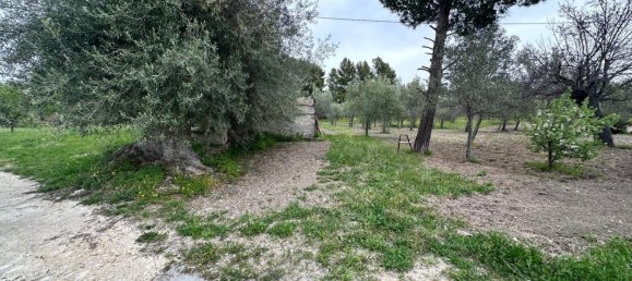 16000m² Land in Avola, Italy No. 168959 12