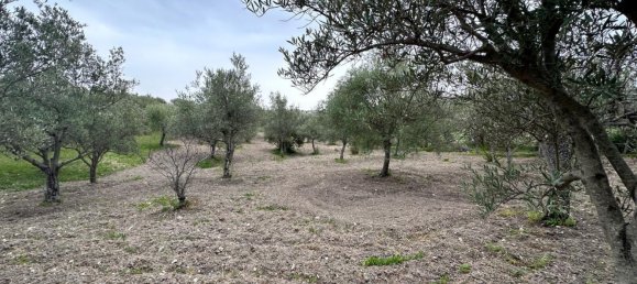 16000m² Land in Avola, Italy No. 168959 3
