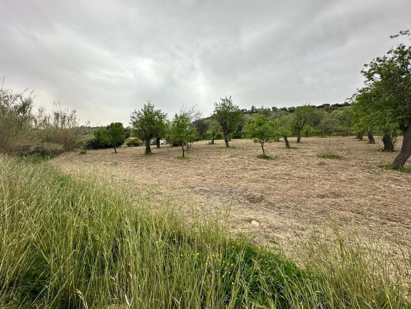 16000m² Land in Avola, Italy No. 168959