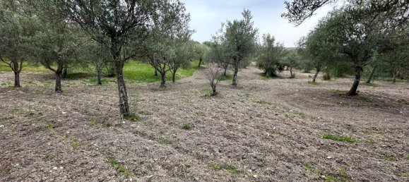 16000m² Land in Avola, Italy No. 168959 8