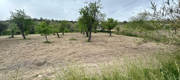 16000m² Land in Avola, Italy No. 168959 11