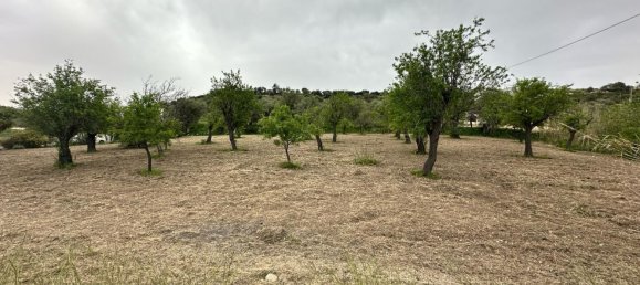 16000m² Land in Avola, Italy No. 168959 10