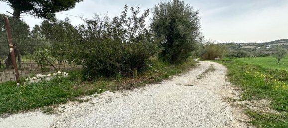 16000m² Land in Avola, Italy No. 168959 13