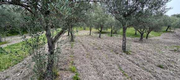 16000m² Land in Avola, Italy No. 168959 5