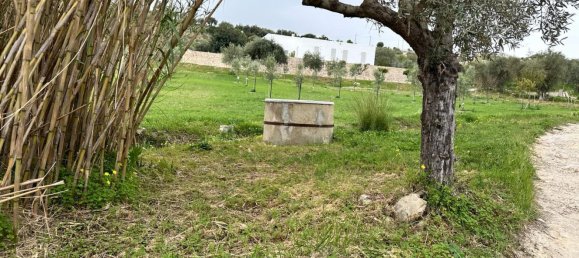 16000m² Land in Avola, Italy No. 168959 9