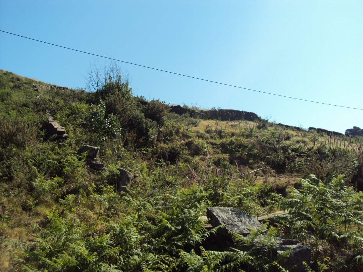  Land in Marco de Canaveses, Portugal No. 61802