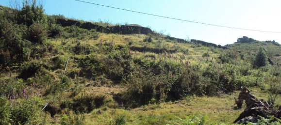  Land in Marco de Canaveses, Portugal No. 61802 5