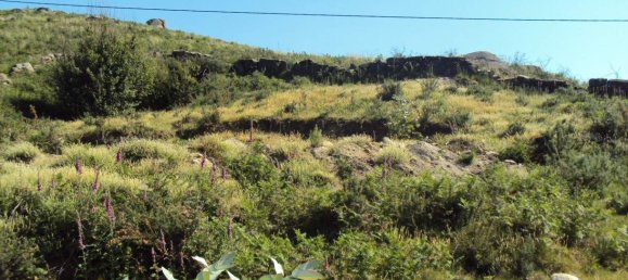  Land in Marco de Canaveses, Portugal No. 61802 4