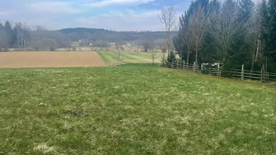  Land in Stegersbach, Austria No. 159453