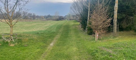  Land in Stegersbach, Austria No. 159453 8