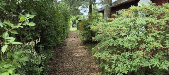  Land in Zwickau, Germany No. 262056 16