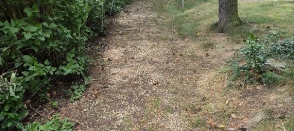  Land in Zwickau, Germany No. 262056 9