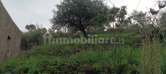 4 bedrooms House in Cefalù, Italy No. 71850 41