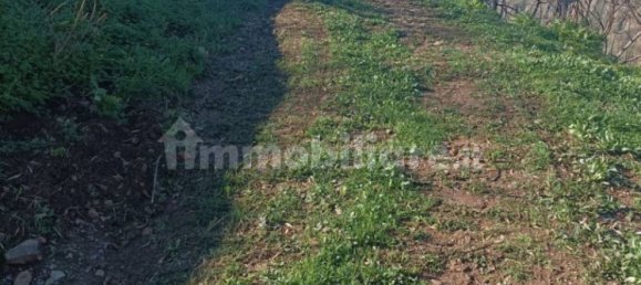 4 bedrooms House in Cefalù, Italy No. 71850 33