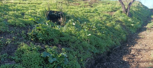 4 bedrooms House in Cefalù, Italy No. 71850 18