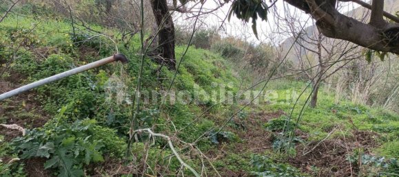 4 bedrooms House in Cefalù, Italy No. 71850 42