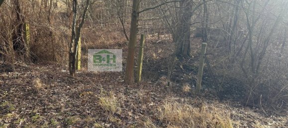 Земельный участок в Анхальт-Биттерфельд, Германия № 172506 6