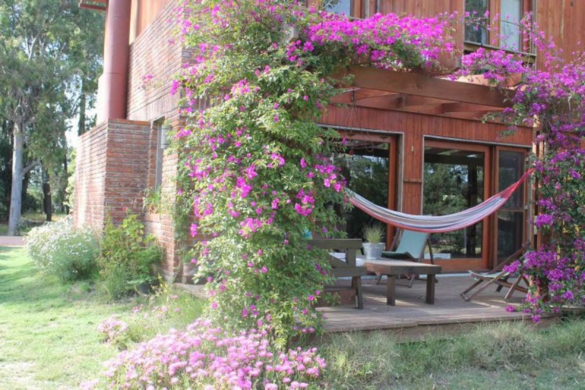 3 bedrooms House in Maldonado, Uruguay No. 9222