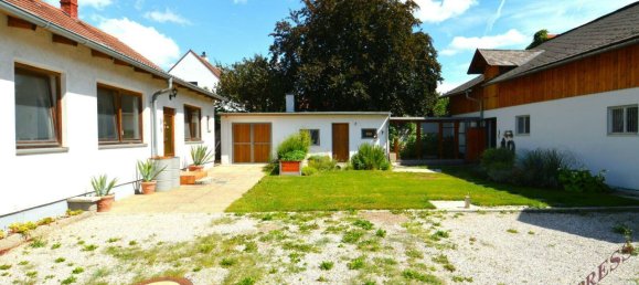 6-Zimmer Haus in Wiener Neustadt, Austria, Nr. 243192 4