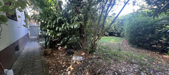 2 bedrooms House in Rhein-Erft, Germany No. 356488 19