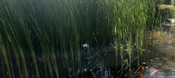 6 Schlafzimmer Villa in Herford, Germany, Nr. 267638 12