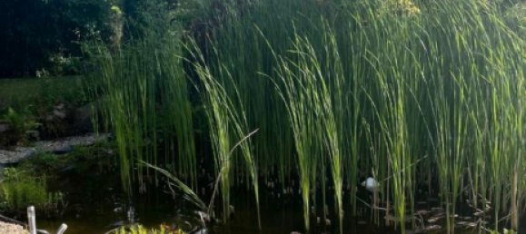 6 Schlafzimmer Villa in Herford, Germany, Nr. 267638 2