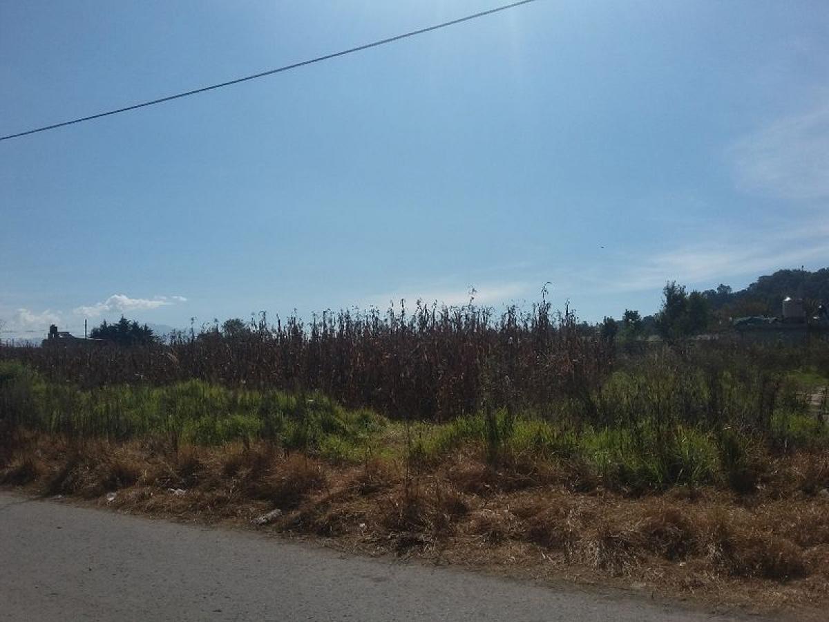  Land in Lerma, Mexico No. 206067