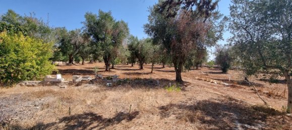 Studio in Carovigno, Italy No. 68028 14