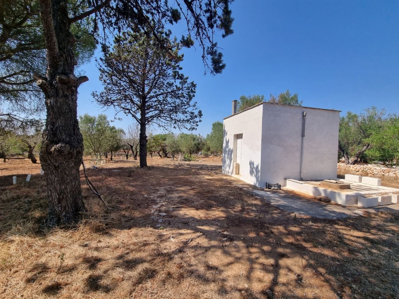 Studio in Carovigno, Italy No. 68028