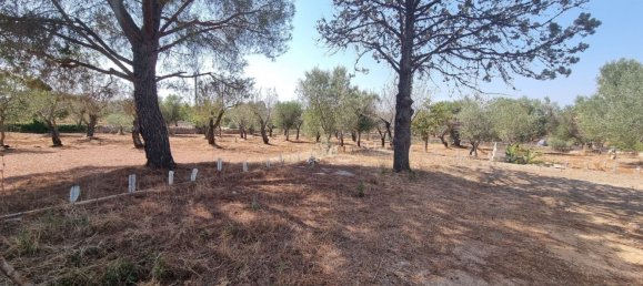 Studio in Carovigno, Italy No. 68028 16