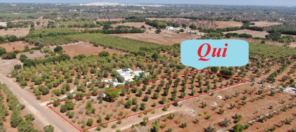 Studio in Carovigno, Italy No. 68028 2