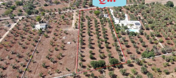 Studio in Carovigno, Italy No. 68028 3