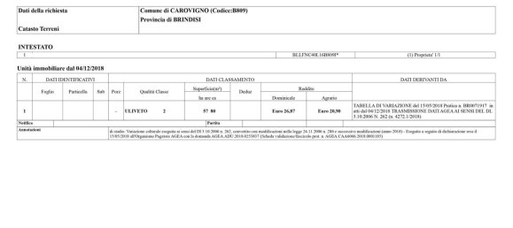 Studio in Carovigno, Italy No. 68028 19