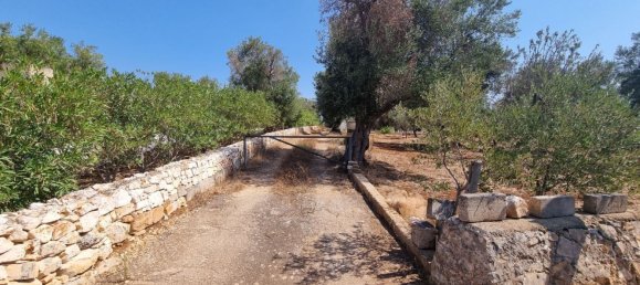 Studio in Carovigno, Italy No. 68028 13