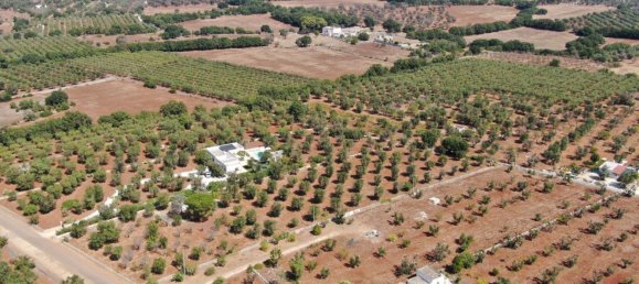 Studio in Carovigno, Italy No. 68028 6