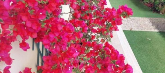 4 rooms Villa in Sabaudia, Italy No. 24427 36