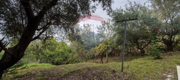 7غرفة منزل في Belvedere Ostrense, Italy رقم 137639 19