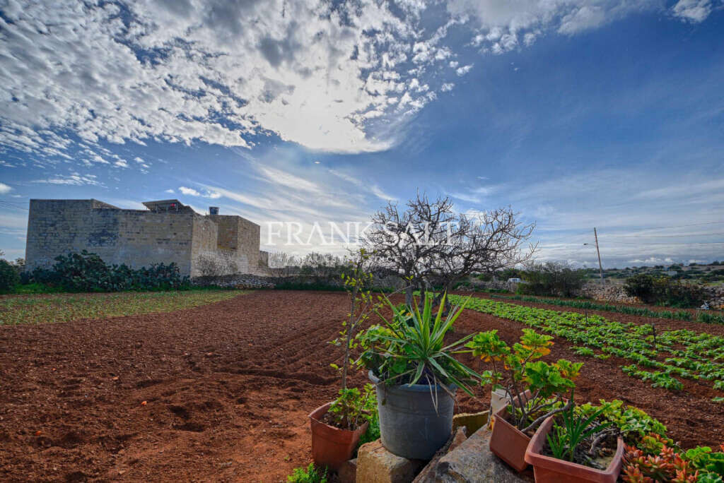 4 bedrooms Farm in Zurrieq, Malta No. 2233