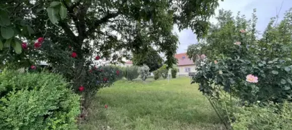 Casa de 6 habitaciónes en Salzlandkreis, Germany No. 28909 4