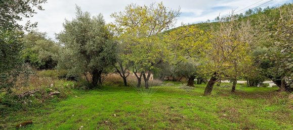 Casa T2 em Redinha, Portugal N.º 28492 13