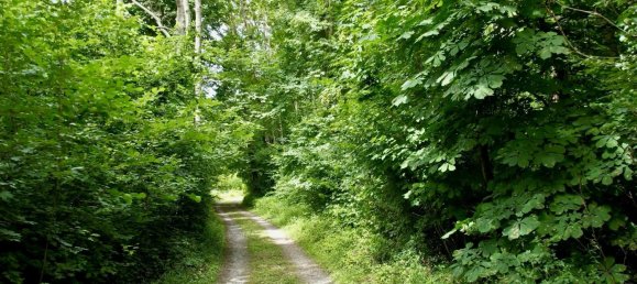 35-Zimmer Haus in Chateau-Thierry, France, Nr. 254078 18