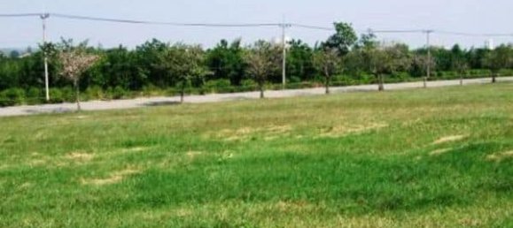  Commercial property in Hua Hin, Thailand No. 6836 3