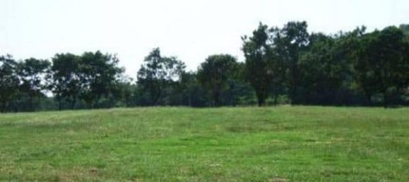  Commercial property in Hua Hin, Thailand No. 6836 2