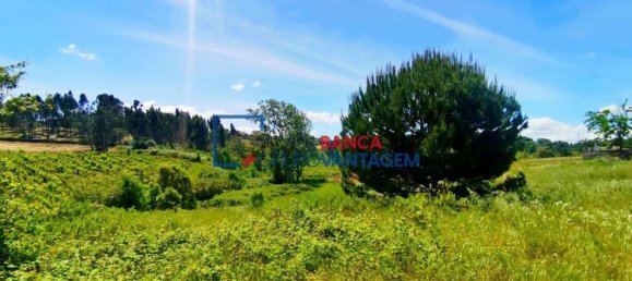 13820m² Land in Cartaxo, Portugal No. 88976 6