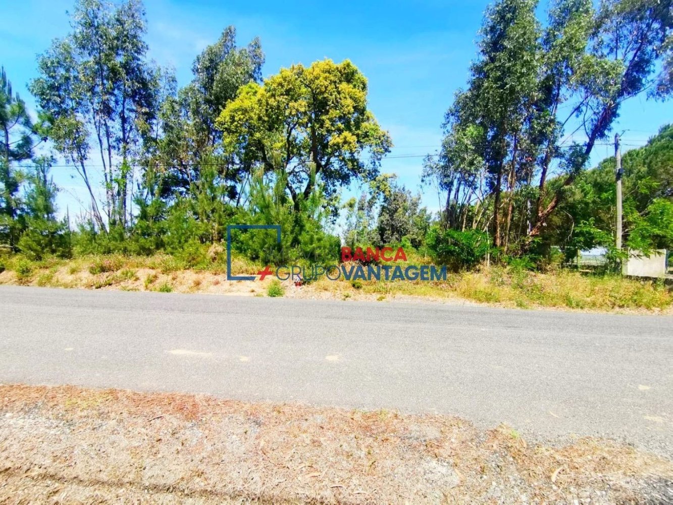 13820m² Land in Cartaxo, Portugal No. 88976