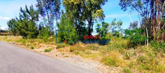 13820m² Land in Cartaxo, Portugal No. 88976 2